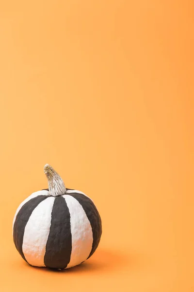 Listrado pintado preto e branco abóbora no fundo colorido laranja — Fotografia de Stock
