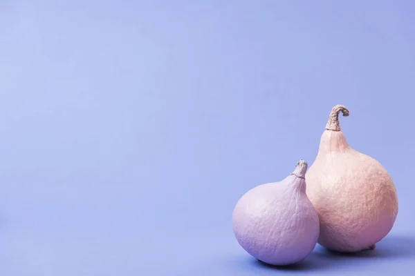 Painted pumpkins on violet background with copy space — Stock Photo