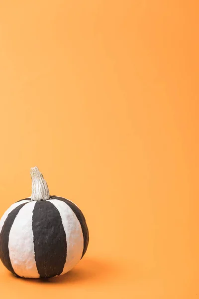Listrado pintado preto e branco abóbora no fundo laranja — Fotografia de Stock