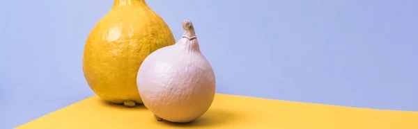 Panoramic shot of painted pumpkins on violet and yellow background — Stock Photo