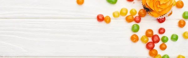 Tiro panorâmico de bonbons coloridos perto de cupcake com aranhas na mesa de madeira branca, deleite de Halloween — Fotografia de Stock