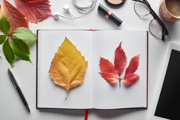 Top view of colorful red and yellow leaves of wild grapes and alder near notebook, cosmetics, glasses, coffee cup and digital tablet on white table — Stock Photo