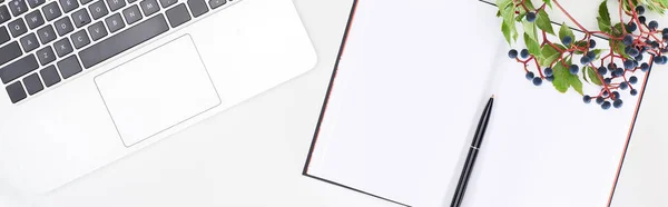 Plano panorámico de cuaderno en blanco con pluma cerca del ordenador portátil y ramita de uvas silvestres con hojas verdes y bayas aisladas en blanco - foto de stock