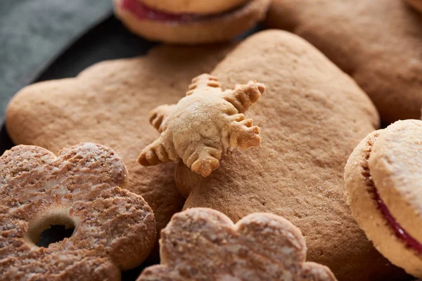 Close up view of delicious baked snowflake cookie — Stock Photo