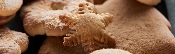Close up view of delicious baked Christmas cookies, panoramic shot — Stock Photo