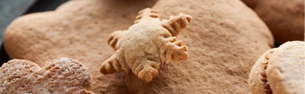 Close up view of delicious baked Christmas cookies, panoramic shot — Stock Photo