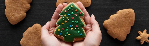 Cropped view of woman holding Christmas tree cookie in hands, panoramic shot — Stock Photo