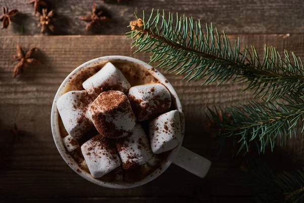 Vista dall'alto del cacao natalizio con marshmallow sul tavolo di legno con ramo di pino — Foto stock