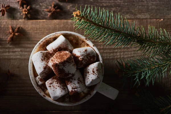 Vista superior de cacau de Natal com marshmallow na mesa de madeira com ramo de pinho — Fotografia de Stock