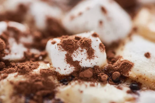 Close up view of cacao with marshmallow and cacao powder — Stock Photo