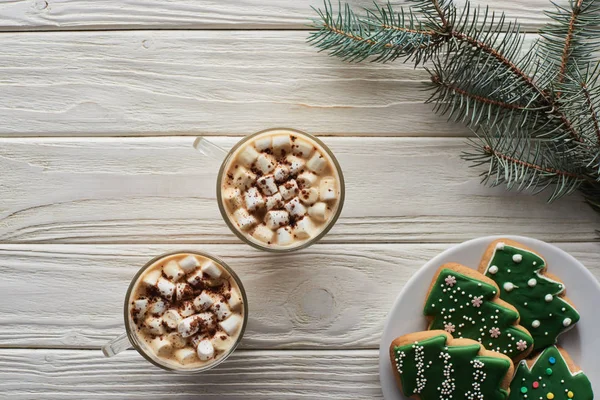 Vista superior de cacau com marshmallow e cacau em pó em canecas perto de biscoitos de Natal e ramo de abeto na mesa de madeira branca — Fotografia de Stock