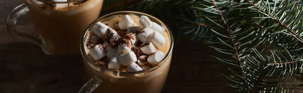 Panoramic shot of cacao with marshmallow and cacao powder in mugs near pine branches on wooden table — Stock Photo