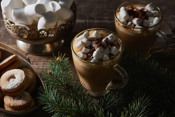 Cacao with marshmallow and cacao powder in mugs near pine branches and cookies on wooden table — Stock Photo