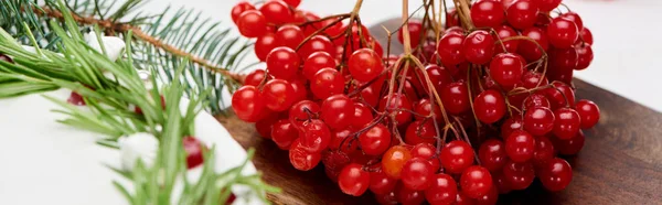 Primer plano de bayas viburnum y pastel de Navidad en la mesa de madera blanca - foto de stock