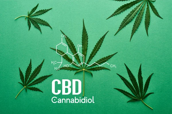 Top view of green cannabis leaves on green background with white cbd illustration — Stock Photo