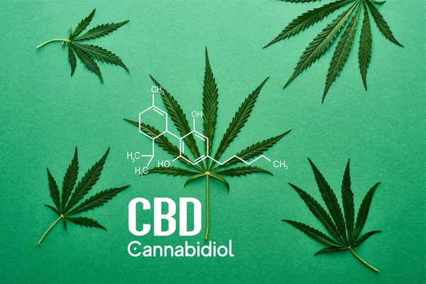 Ansicht von grünen Cannabisblättern auf grünem Hintergrund mit weißer cbd-Illustration — Stockfoto