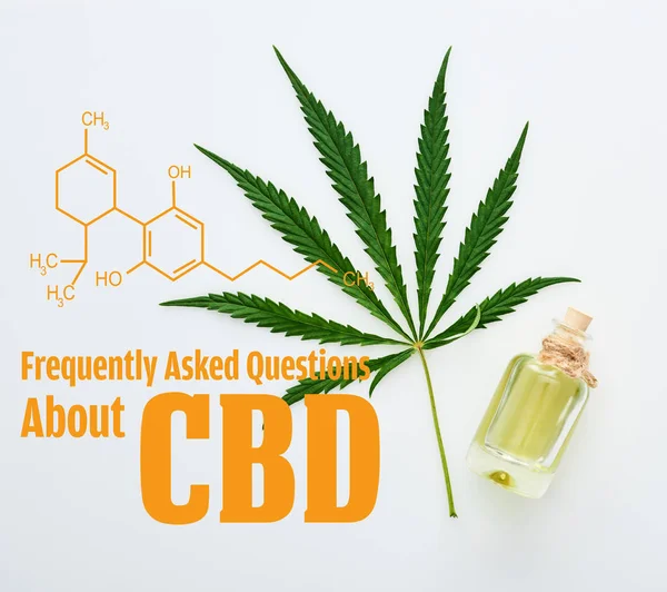 Top view of cannabis leaf and cbd oil on bottle on white background with frequently asked questions about cbd illustration — Stock Photo