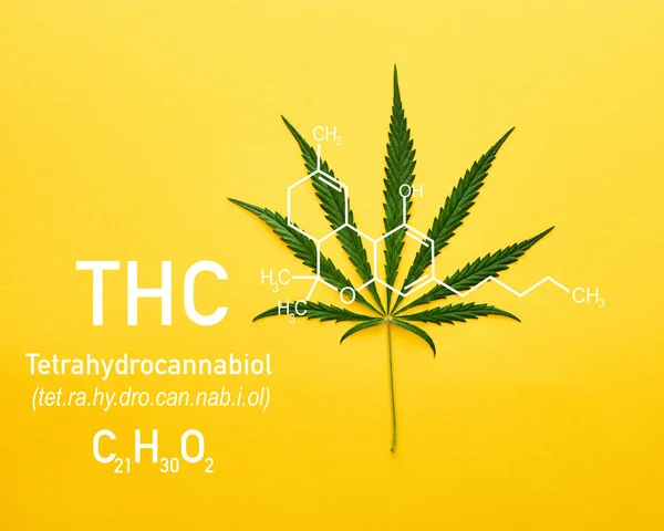 Ansicht des Cannabisblattes auf gelbem Hintergrund mit Abbildung des THC-Moleküls — Stockfoto