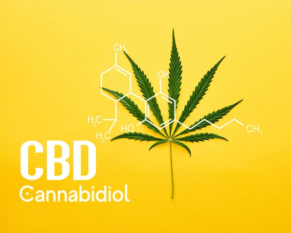 Top view of cannabis leaf on yellow background with cbd molecule illustration — Stock Photo