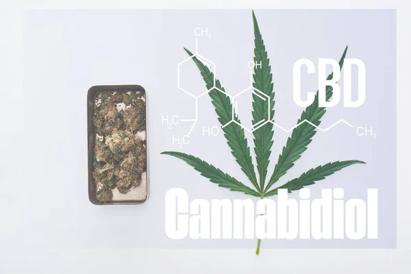 Вид сверху на зеленый лист конопли и бутоны марихуаны в металлической коробке с иллюстрацией молекул cbd — стоковое фото
