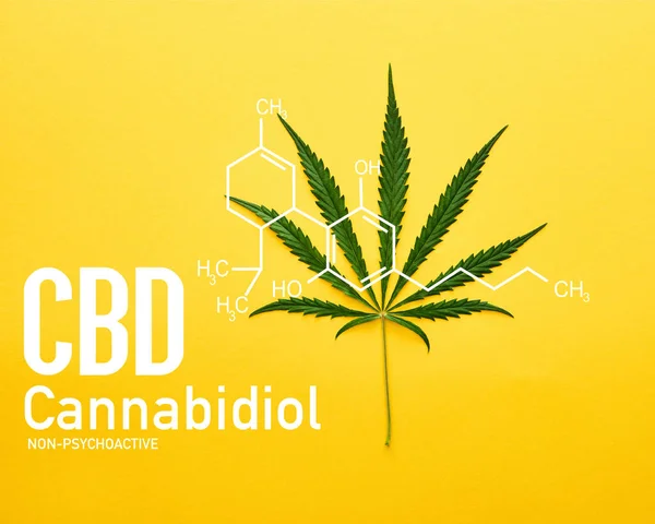 Верхний вид листьев конопли на желтом фоне с иллюстрацией молекул cbd — стоковое фото