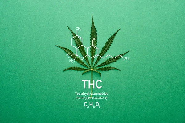 Vue du dessus de la feuille de cannabis sur fond vert avec l'illustration de la molécule thc — Photo de stock