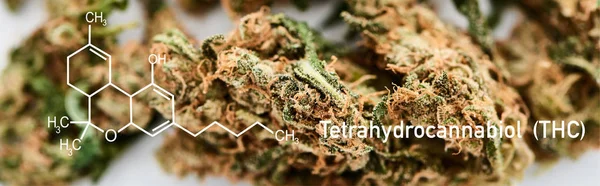 Vue rapprochée des bourgeons de marijuana médicale sur fond blanc avec l'illustration de la molécule thc, prise de vue panoramique — Photo de stock