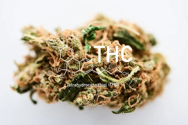 Broto de maconha em fundo branco com ilustração da molécula thc — Fotografia de Stock