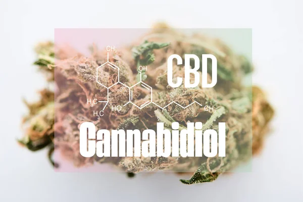 Marijuana bud on white background with cbd molecule illustration — Stock Photo