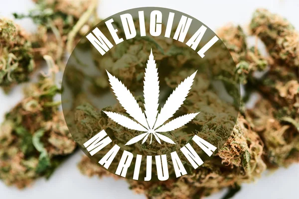 Marihuana-Knospen auf weißem Hintergrund mit medizinischer Marihuana-Illustration — Stockfoto