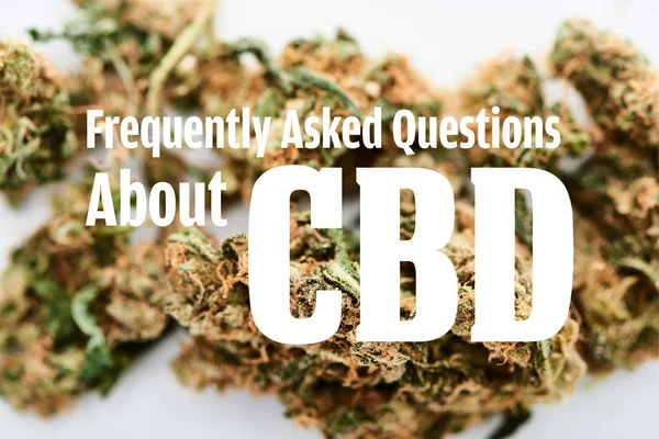 Marijuana buds on white background with frequently asked questions about cbd illustration — Stock Photo