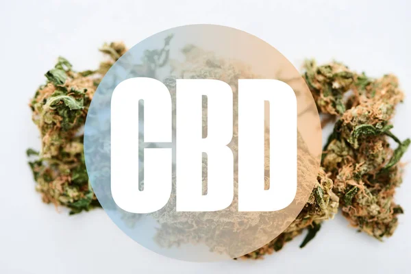 Brotes de marihuana sobre fondo blanco con ilustración cbd - foto de stock