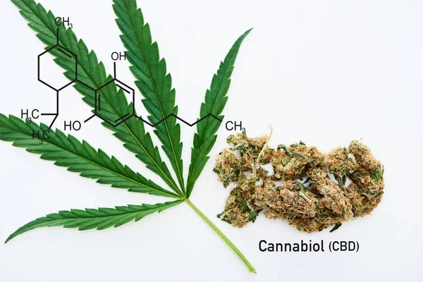 Top view of green cannabis leaf and marijuana buds on white background with cbd molecule illustration — Stock Photo