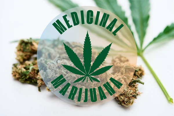 Green cannabis leaf and marijuana buds on white background with medical marijuana illustration — Stock Photo