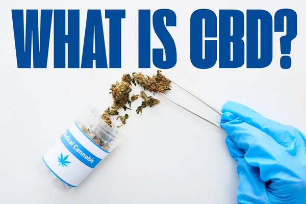 Cropped view of doctor in blue glove holding medical cannabis with tweezers on white background with what is cbd question — Stock Photo