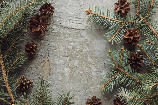 Vista superior de ramos de abeto e cones secos na superfície de pedra cinza — Fotografia de Stock