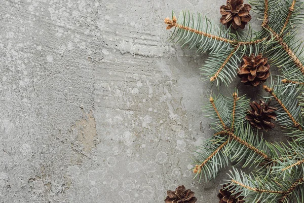 Top view of fir branches and dry cones on grey stone surface — Stock Photo