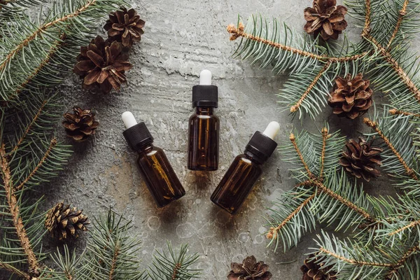 Top view of bottles with natural oil near fir branches and dry cones on grey stone surface — Stock Photo