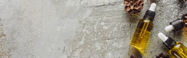 Панорамний знімок пляшок з натуральною олією біля сухих ялинових конусів на поверхні сірого каменю — стокове фото