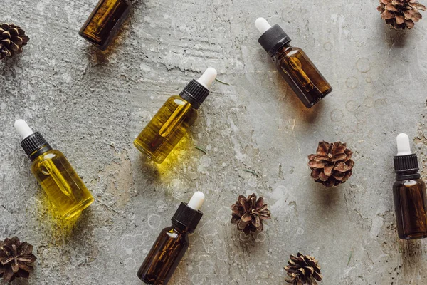 Top view of bottles with natural oil near dry spruce cones on grey stone surface — Stock Photo