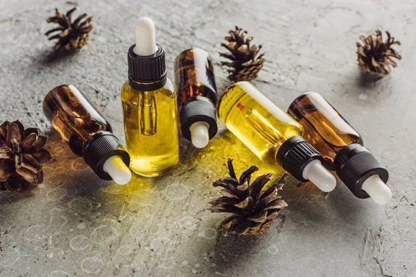 Bottles with natural oil near dry spruce cones on grey stone surface — Stock Photo