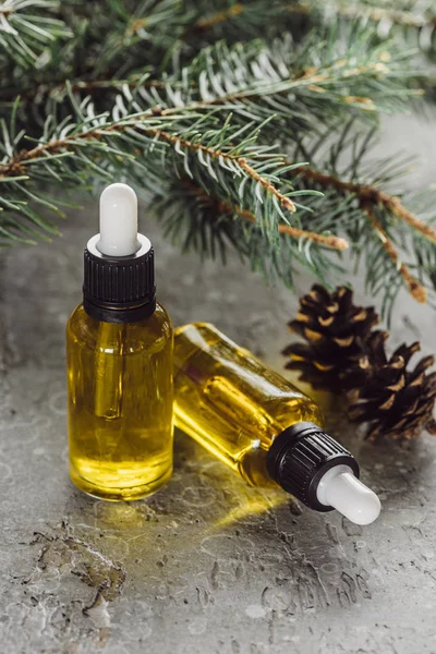 Bottles with natural oil near fir branches and dry cones on grey stone surface — Stock Photo