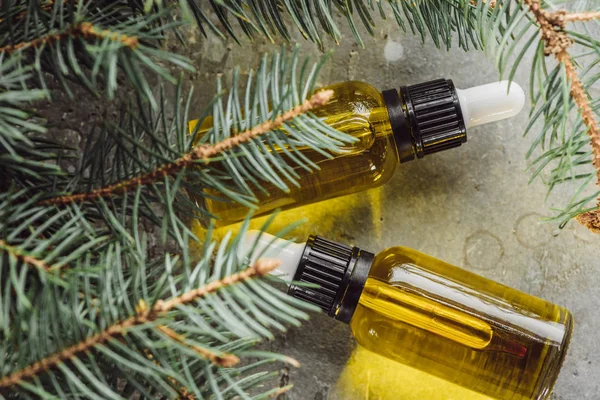Top view of bottles with natural oil near fir branches on grey stone surface — Stock Photo
