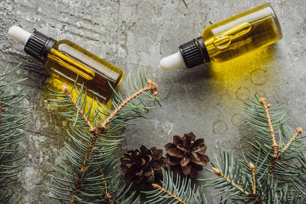 Top view of bottles with natural oil near fir branches and dry cones on grey stone surface — Stock Photo