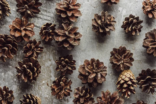 Top view of dry spruce cones scattered on grey stone surface — Stock Photo