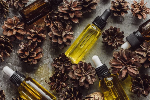 Top view of bottles with natural oil near dry spruce cones on grey stone surface — Stock Photo
