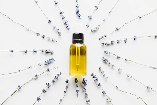 Vista superior da garrafa com óleo natural no quadro de galhos de lavanda seca com flores no fundo branco — Fotografia de Stock