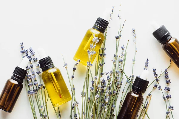 Vue de dessus des brindilles de lavande sèches avec des fleurs et des bouteilles avec de l'huile naturelle sur fond blanc — Photo de stock