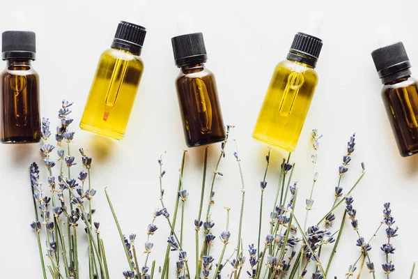 Draufsicht auf Flaschen mit natürlichem Öl und trockenen Lavendelzweigen mit Blüten auf weißem Hintergrund — Stockfoto