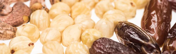 Close up view of dried dates, hazelnut and cashew isolated on white, panoramic shot — Stock Photo